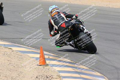 media/Mar-13-2022-SoCal Trackdays (Sun) [[112cf61d7e]]/Turn 10 Backside (105pm)/